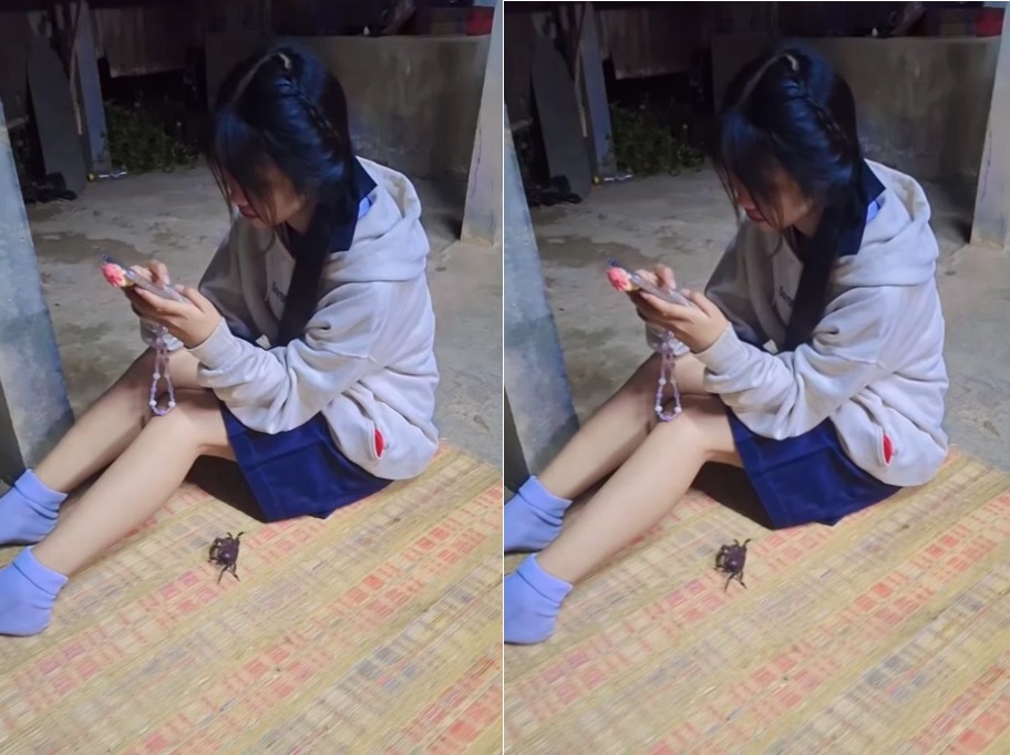 Malam Ini ke Rumah Pacar Vietnam, Pokoknya Saling Nindih dan Ngentot Habis-Habisan